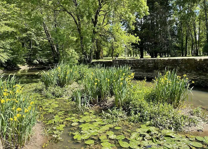 Echo D'eau Host & Coach בית הארחה La Jaudonniere