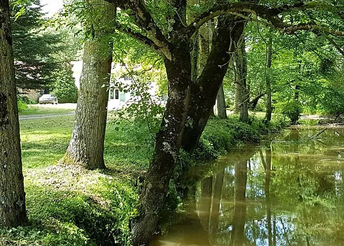 Echo D'eau Host & Coach 4* La Jaudonniere